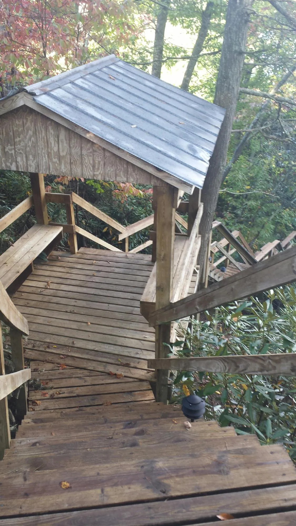 Metal roofed shelter over wooden steps on a wooded walkway — Skylight Repair & Installation work by our crew in Blissfield